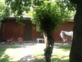 /album/fotogaleria-los-prunos/image-11-jpeg/