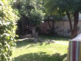/album/fotogaleria-los-prunos/image-13-jpeg1/