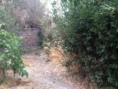 /album/fotogaleria-la-granja/lg8-jpg/