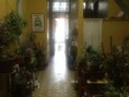 /album/fotogaleria-garcia-reyes/centro5-jpg/